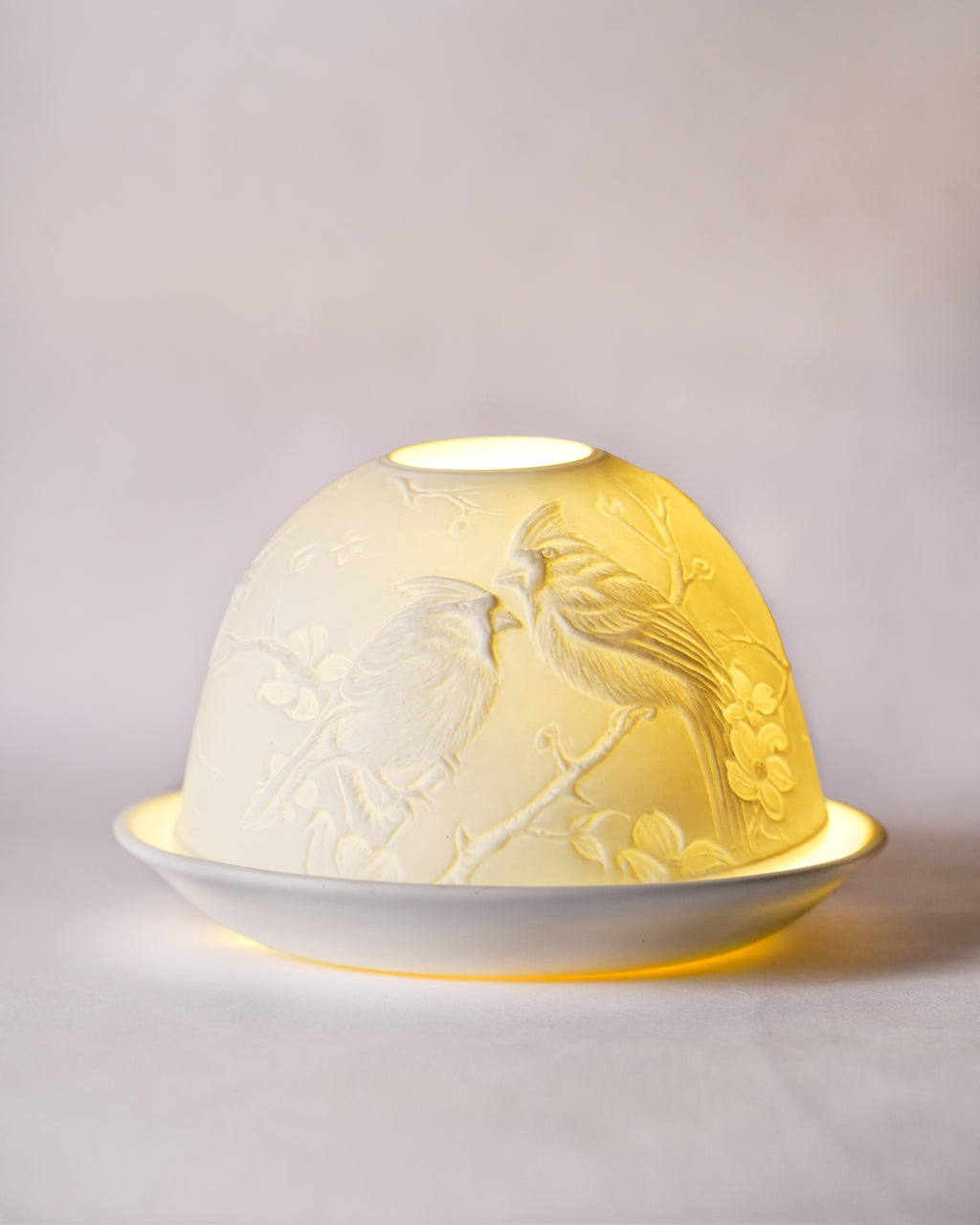 Cardinals and Magnolias