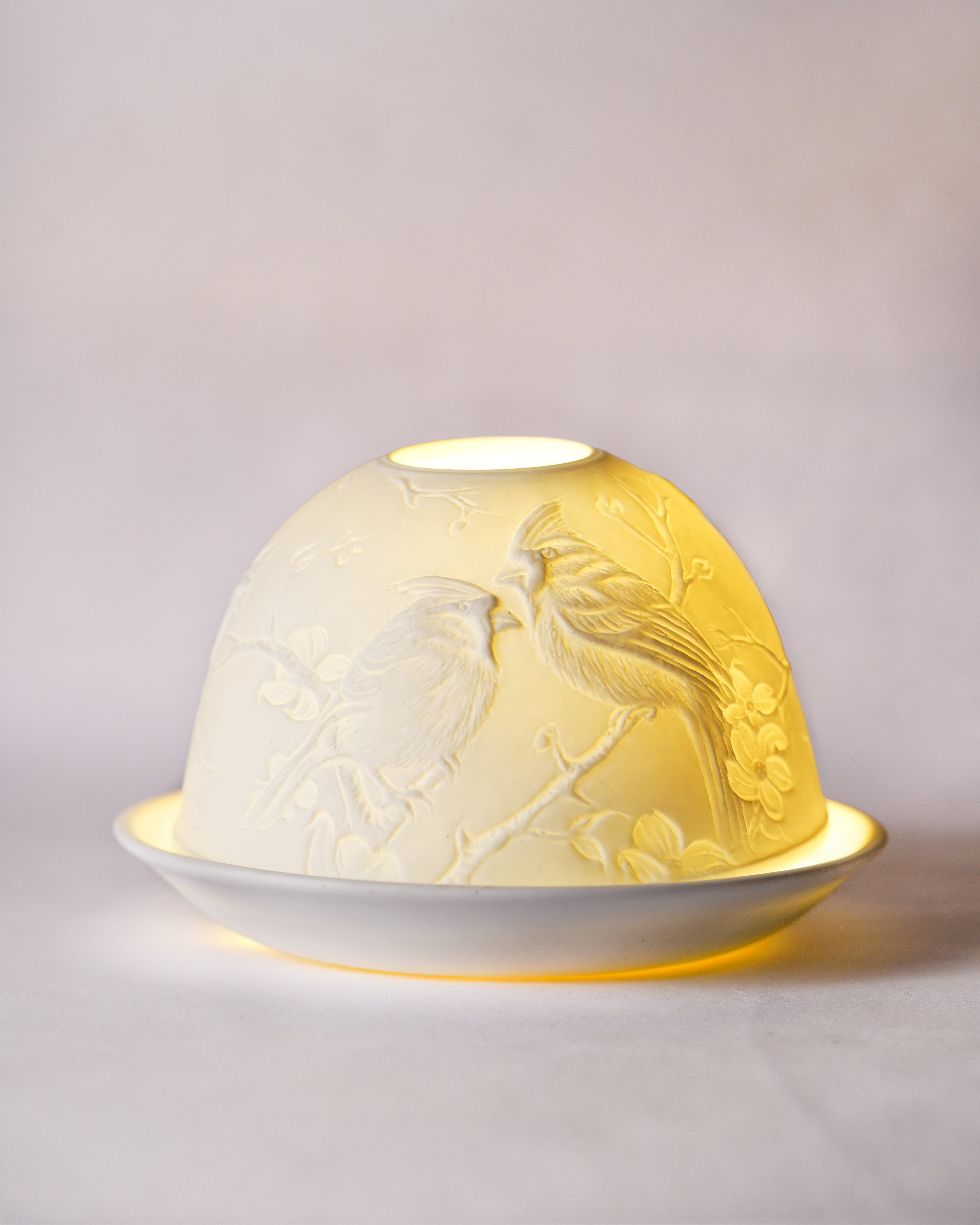 Cardinals and Magnolias