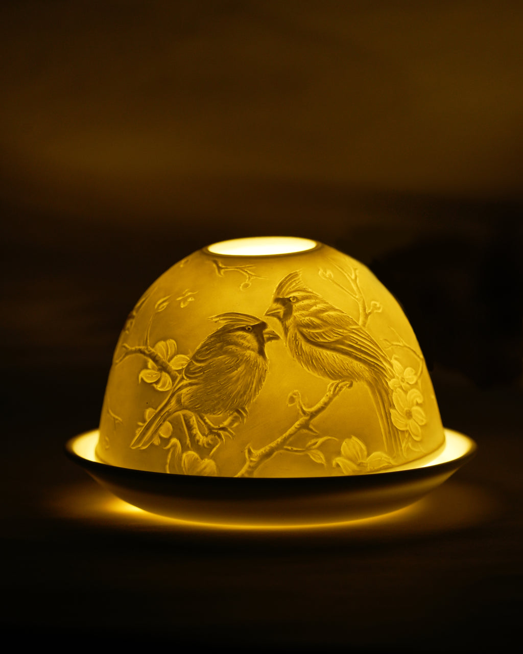 Cardinals and Magnolias