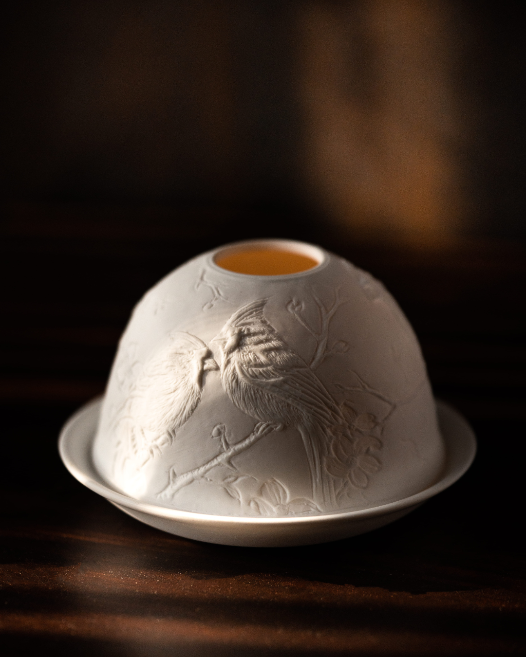 Cardinals and Magnolias