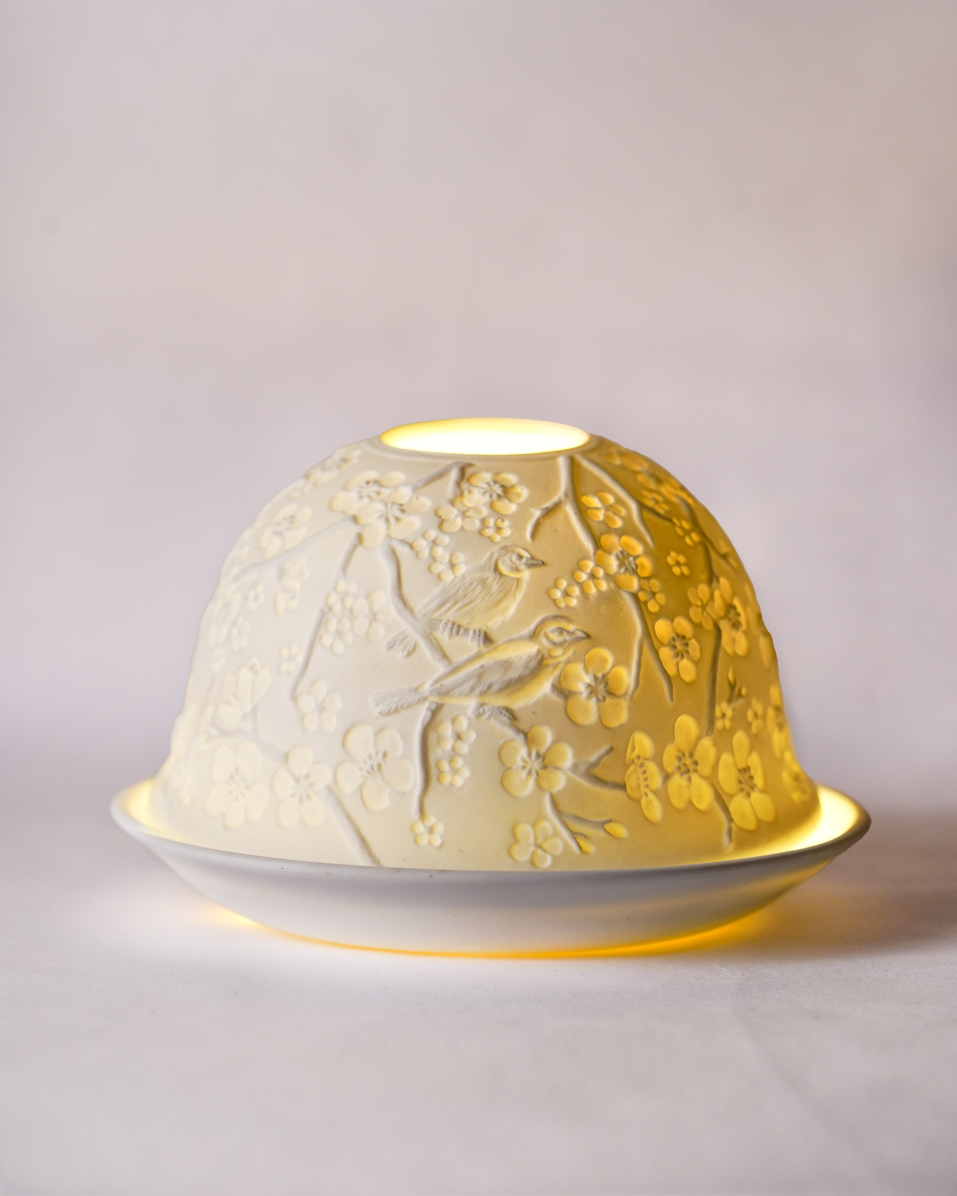 Cherry Blossoms and Bird Songs