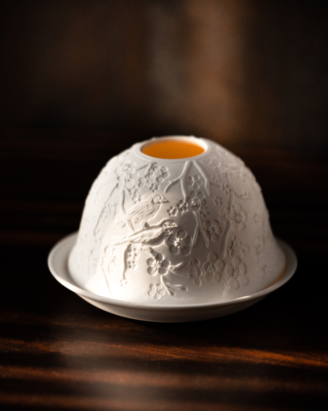 Cherry Blossoms and Bird Songs