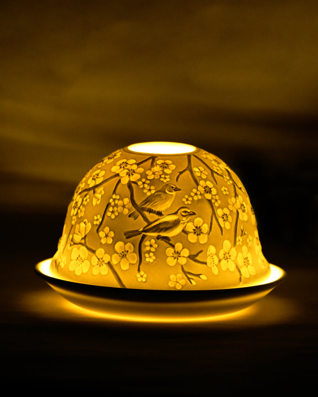 Cherry Blossoms and Bird Songs