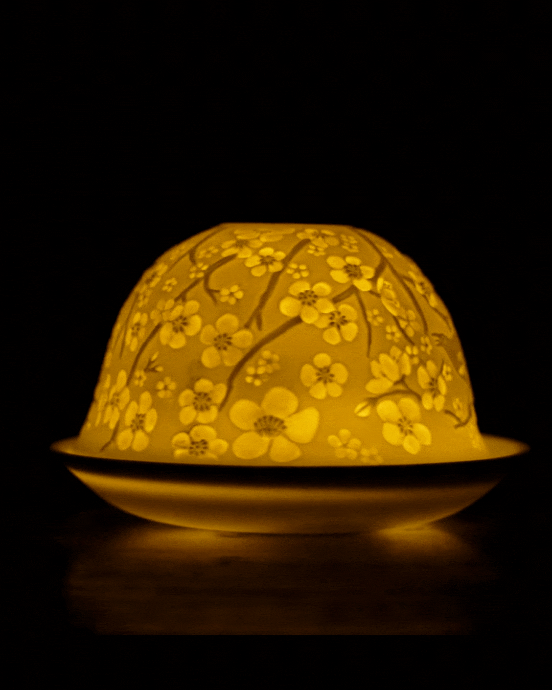 Cherry Blossoms and Bird Songs