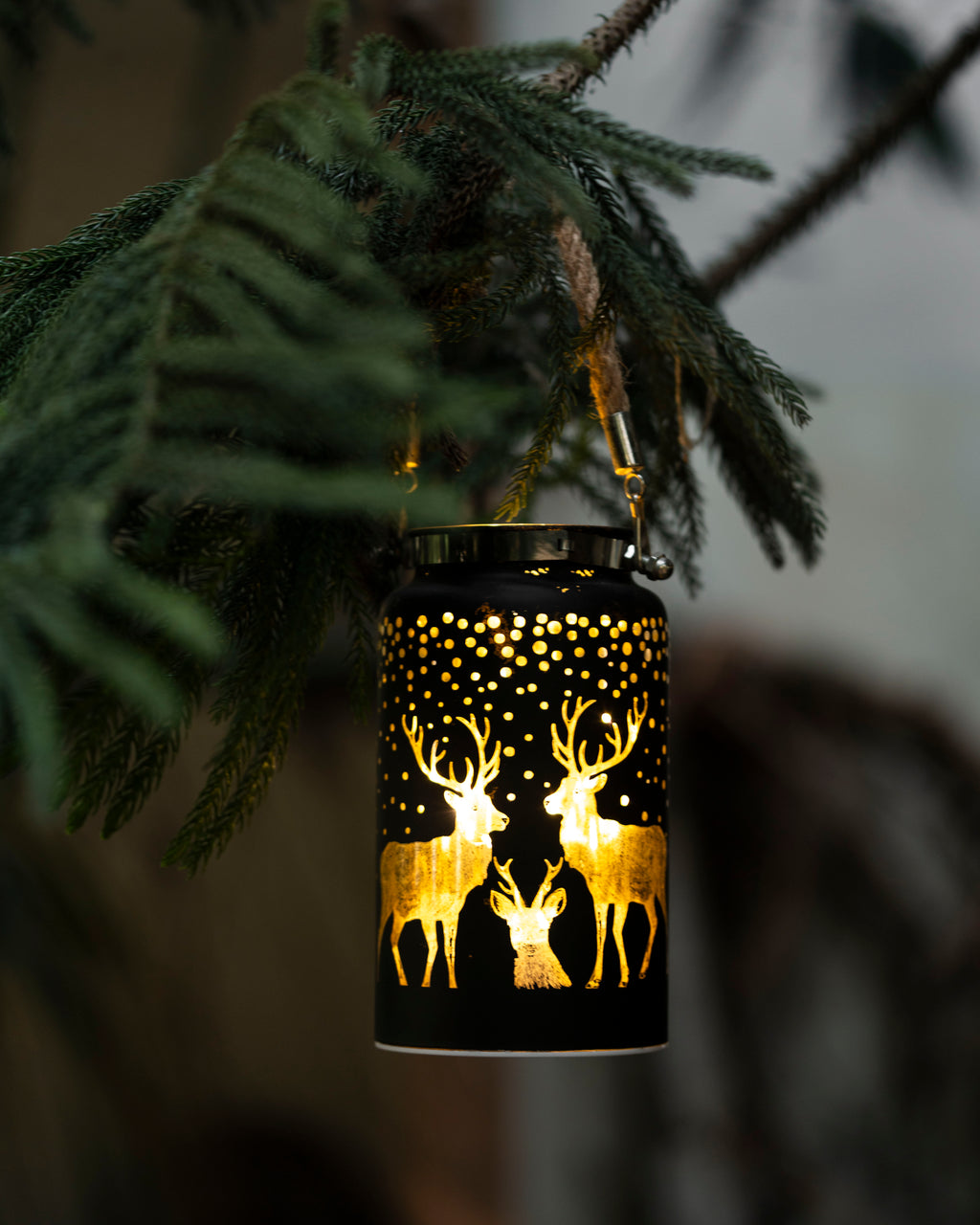Patronus Charm - Hanging Glass Lanterns