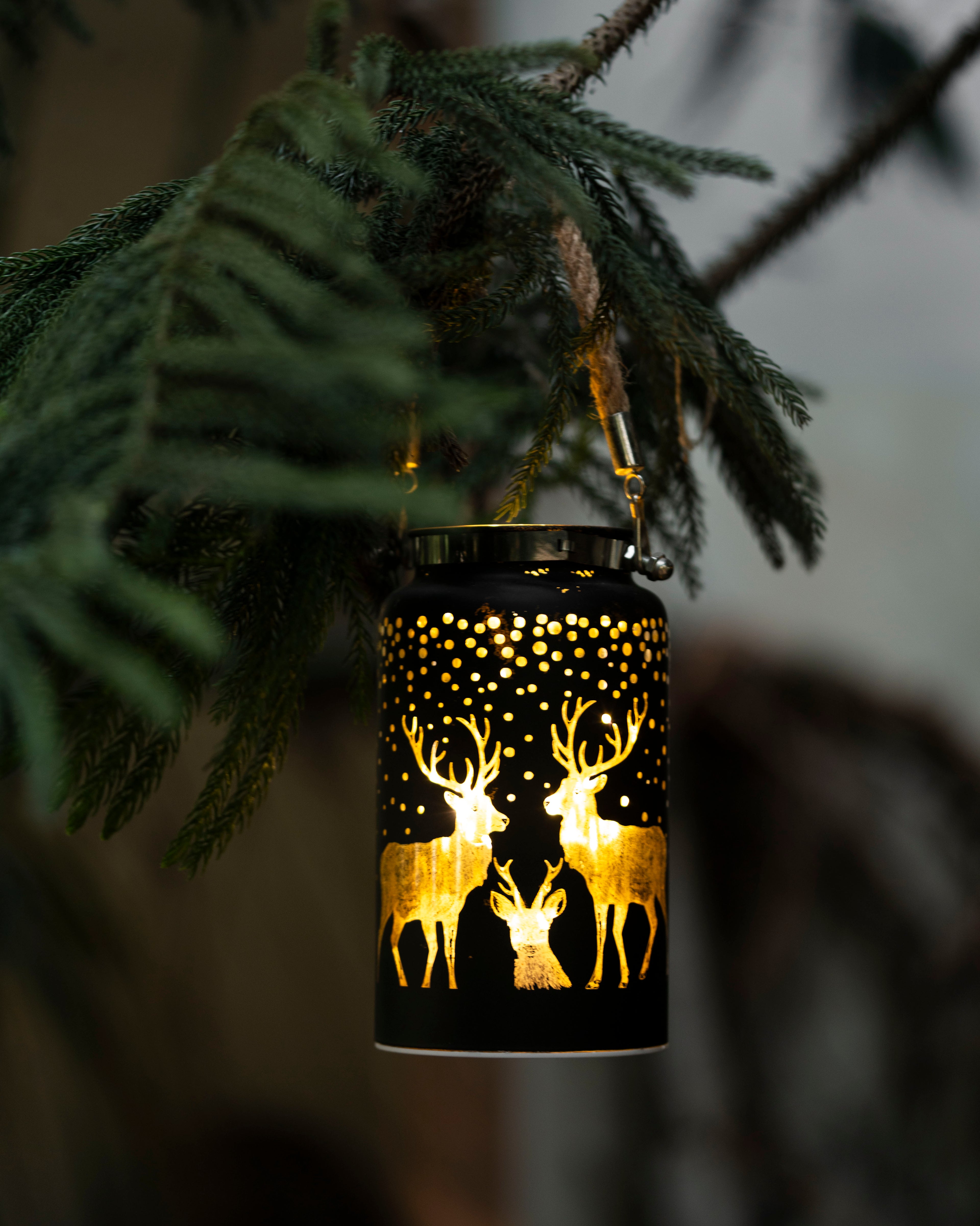 Patronus Charm - Hanging Glass Lanterns