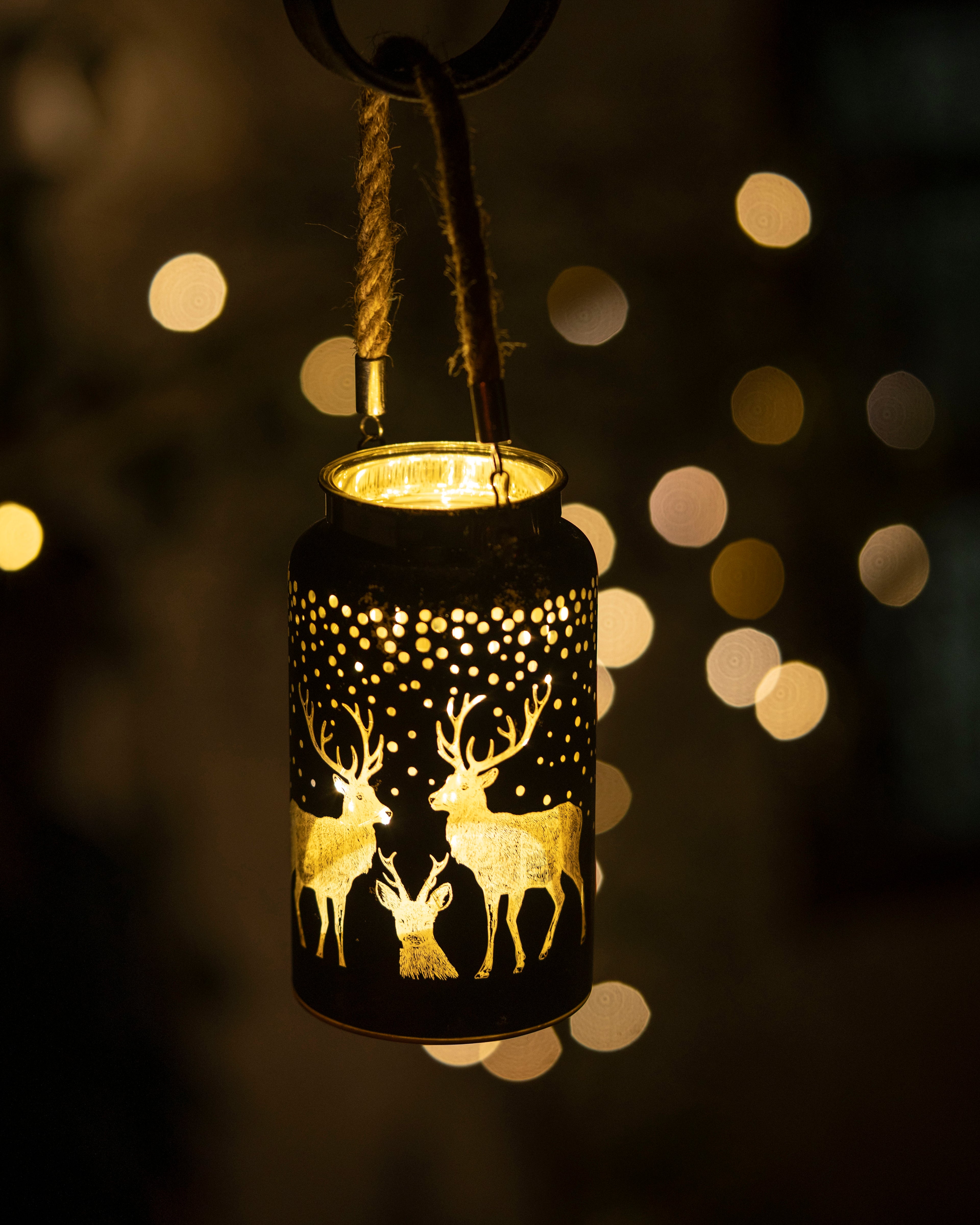 Patronus Charm - Hanging Glass Lanterns