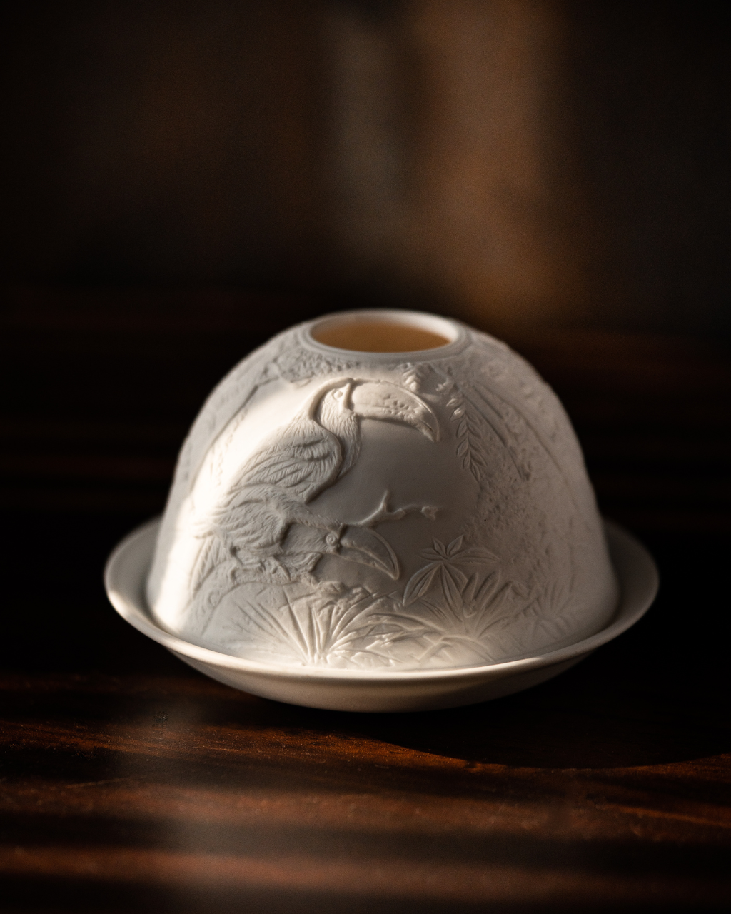 Hornbill in a Rainforest