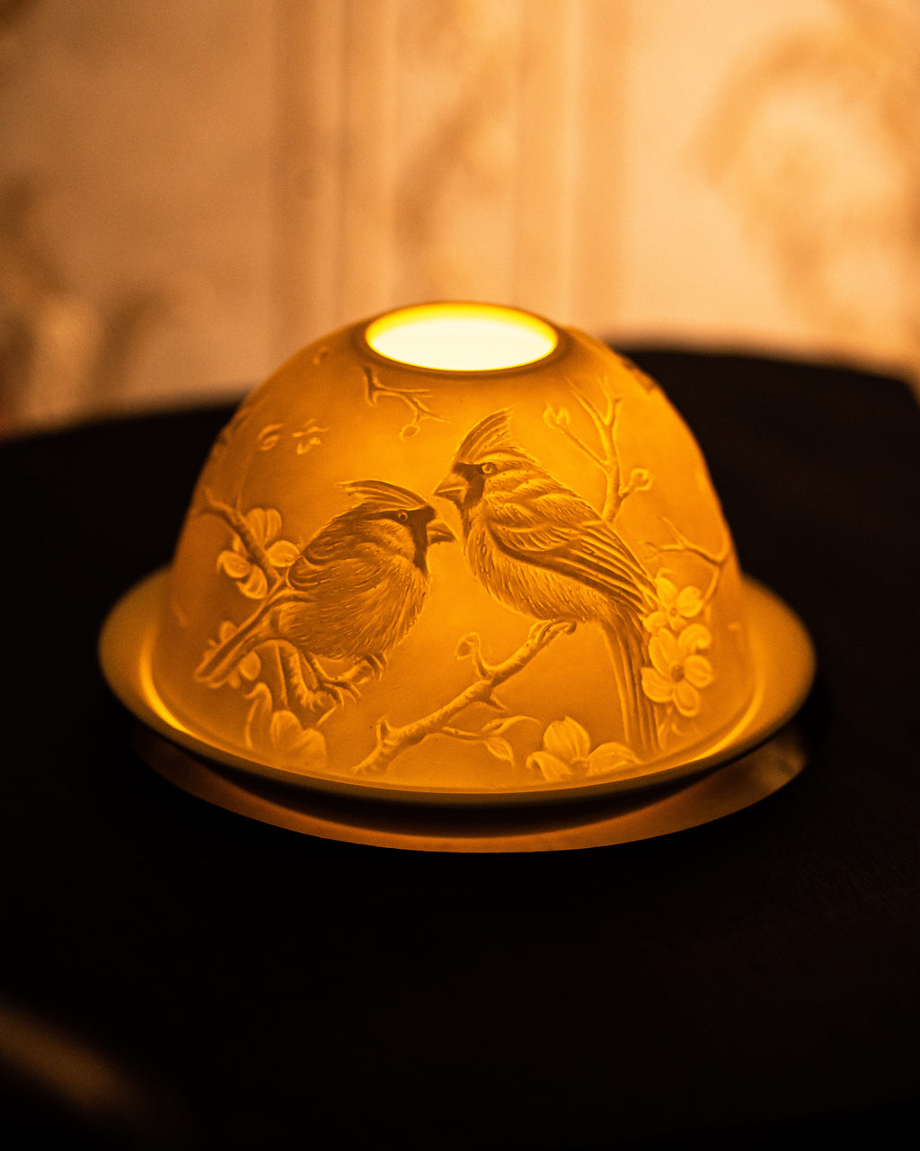 Cardinals and Magnolias