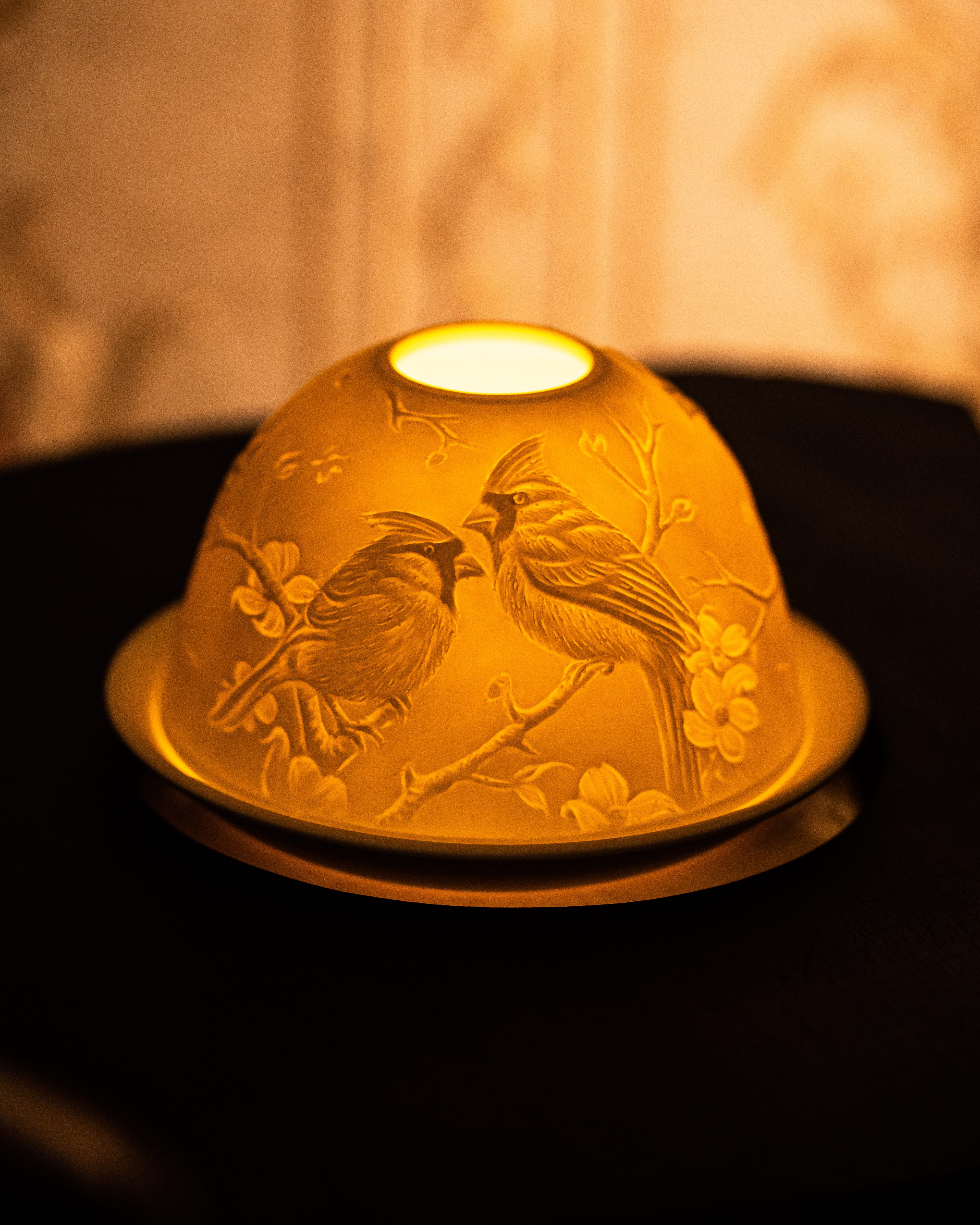 Cardinals and Magnolias