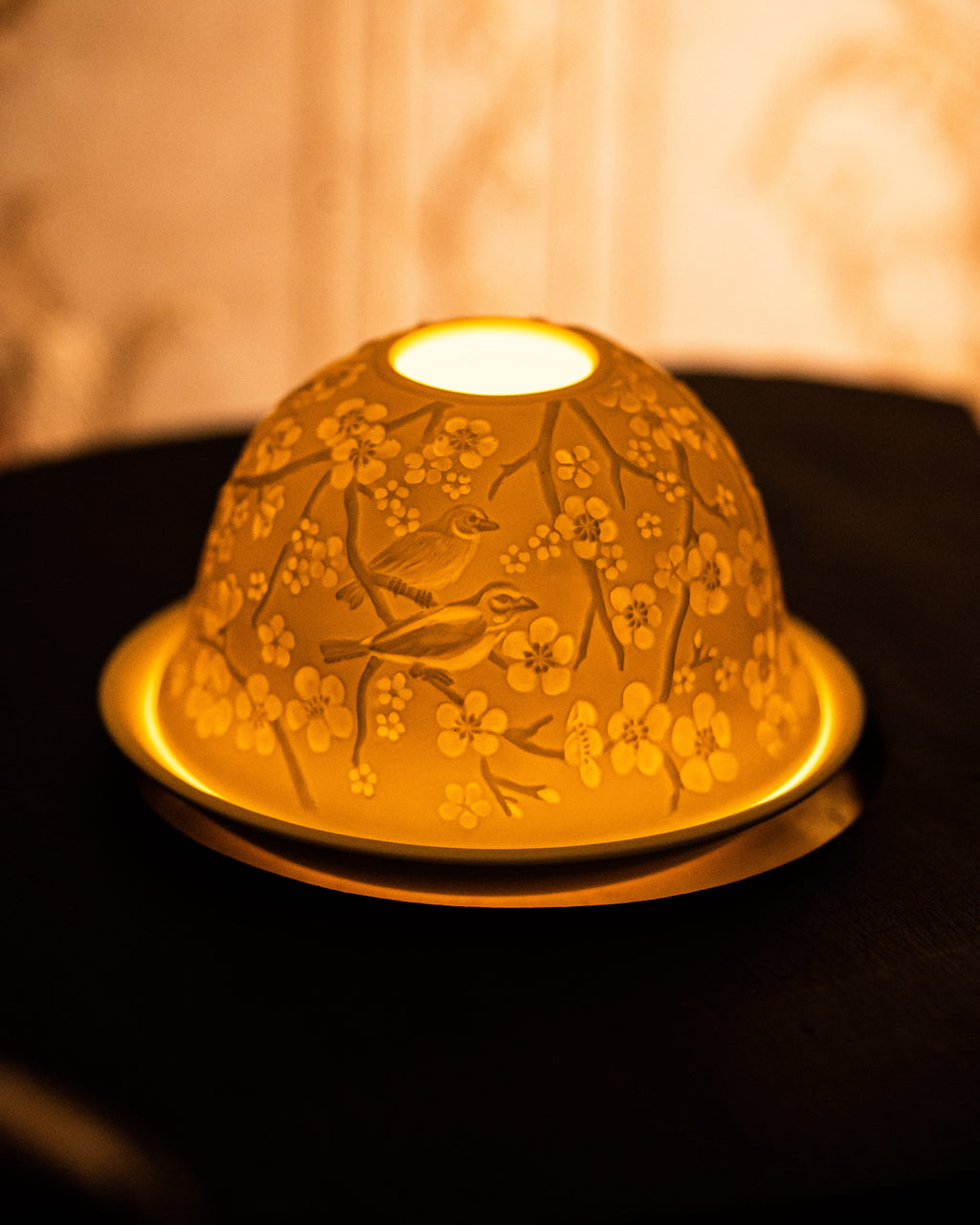 Cherry Blossoms and Bird Songs