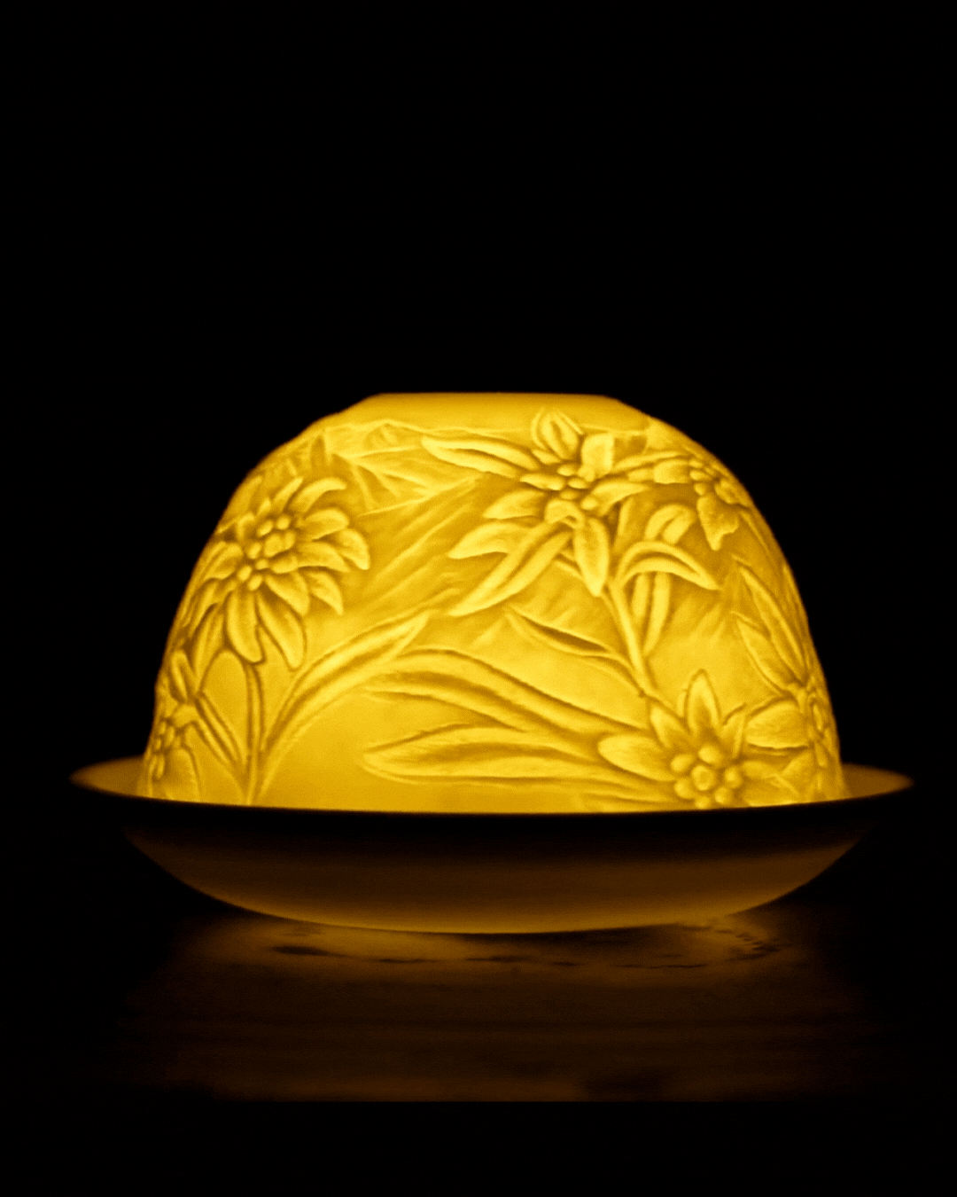 Marigold and Mountains