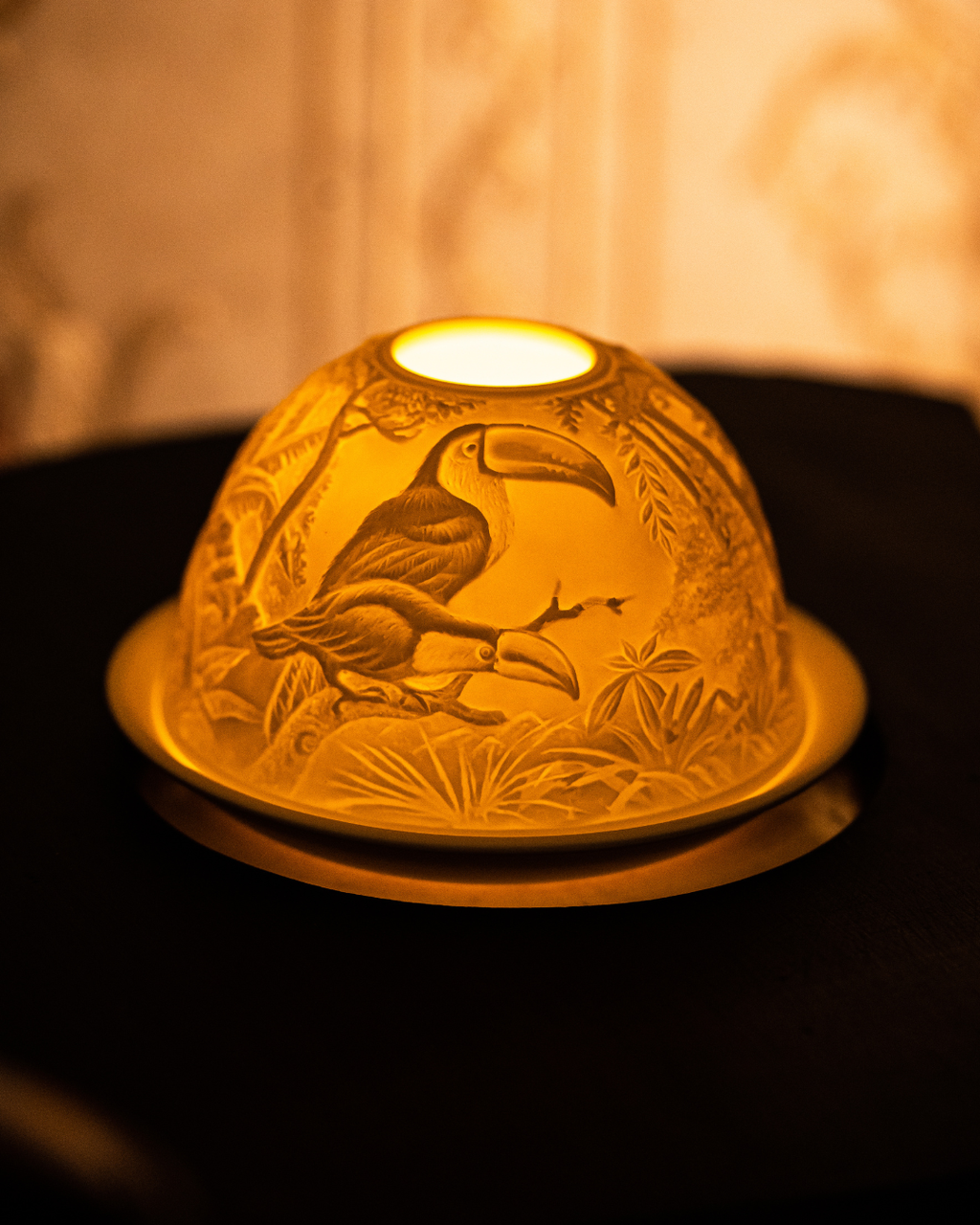 Hornbill in a Rainforest