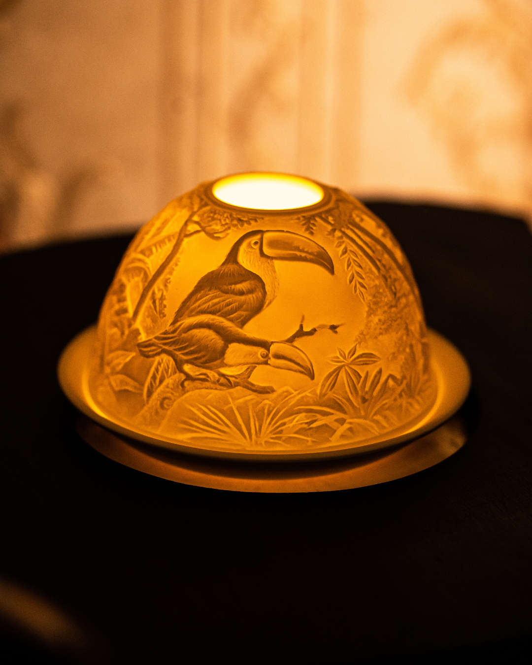 Hornbill in a Rainforest